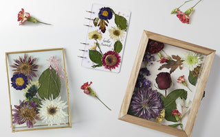 how to preserve flowers in frame