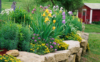 simple flower bed ideas for front house