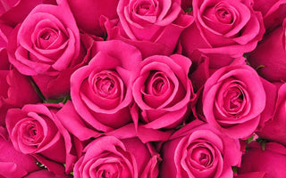 pink roses meaning