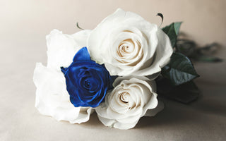 What Does a Blue Rose Mean? Symbolism Explained